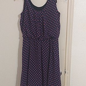 NWT polka dot dress size 10